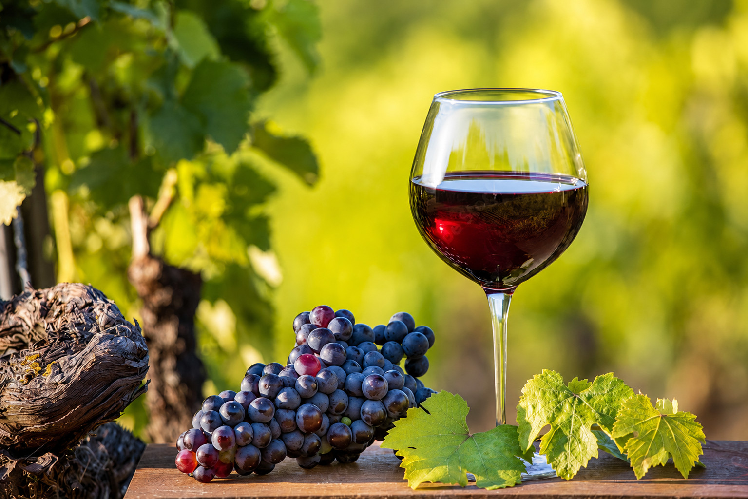 Domaine de Brandeau